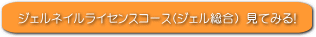 ジェルネイルライセンスコースへ