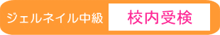 ジェル中級